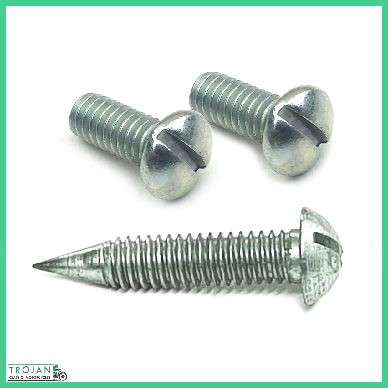 Genuine Triumph Hammer Drive Patent Plate Screw Set - OEM 60-4255, D4255, 60-0208