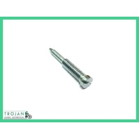 PRIMARY COVER OIL ADJUSTER SCREW, TRIUMPH, PRE UNIT, GENUINE, 57-0496, T496