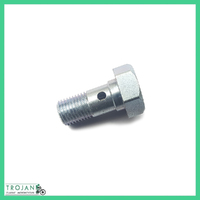 FRONT BANJO BOLT, MASTER CYLINDER, TRIUMPH, TR7 T140 T150 T160, GENUINE, 60-4183