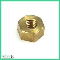 NACELLE FLASH STYLING STRIP 5BA BRASS NUT, TRIUMPH, GENUINE, 97-0691, H691