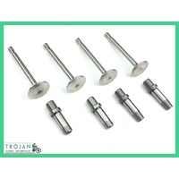 VALVES & GUIDES SET, TRIUMPH PRE-UNIT, 5T, IRON HEAD, 1946-59, 70-2899, 70-1480, 70-2900, 70-1956