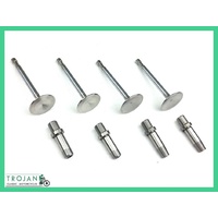 VALVES & GUIDES, TRIUMPH,PRE-UNIT,650,T110,TR6, IRON HEAD,1954-57 (SET), ENG0170
